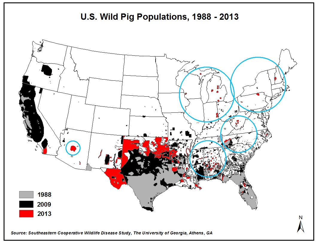 1988-2013 Distribution of Wild Pigs