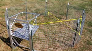 Trigger Mechanisms Wild Pig Info Mississippi State University Extension Service