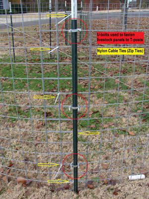 U-Bolt fastening a livestock panel to t-post